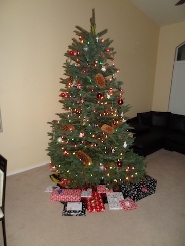 Christmas_Tree_2011.jpg